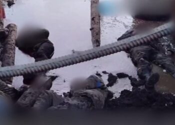 HRW разоблачает казни украинских военных, сдавшихся в плен России