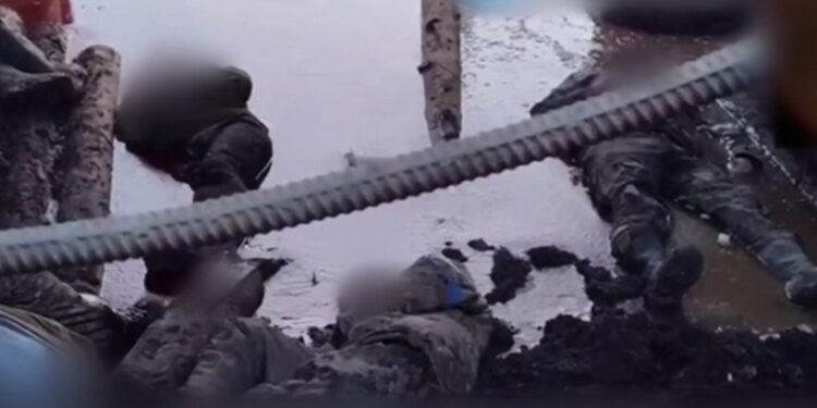 HRW разоблачает казни украинских военных, сдавшихся в плен России