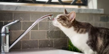 Жители центральных улиц Одессы остались без воды до вечера