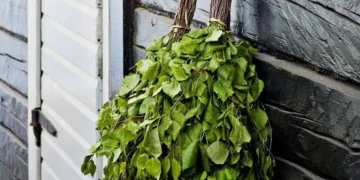 Як обрати правильний віник для бані?