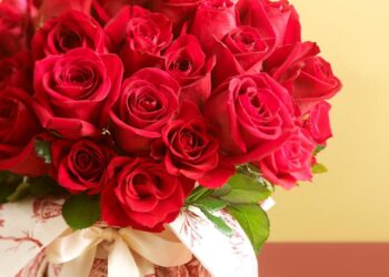 Як обрати магазин квітів у Львові для замовлення букету