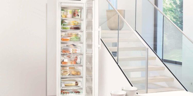 Как выбрать и купить морозильную камеру LIEBHERR — полное руководство