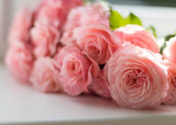 История и значимость доставки цветов в Умани