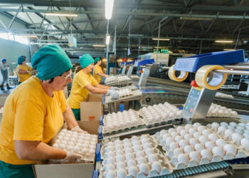 Український агрохолдинг Овостар провів делістинг із Варшавської фондової біржі Економіка