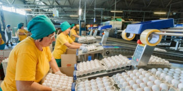 Український агрохолдинг Овостар провів делістинг із Варшавської фондової біржі Економіка