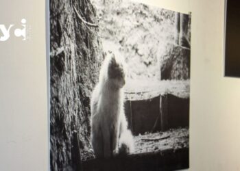 «Далі: я поверну собі своє життя, обіцяю»: в Одесі відкрилася фотовиставка Максима Кривцова (фото) — Одеса