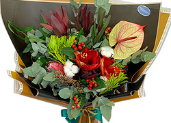 Почему стоит обратить внимание на антуриумы?