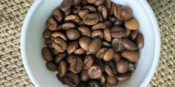 Чому варто звернути увагу на преміальні кавові бренди?