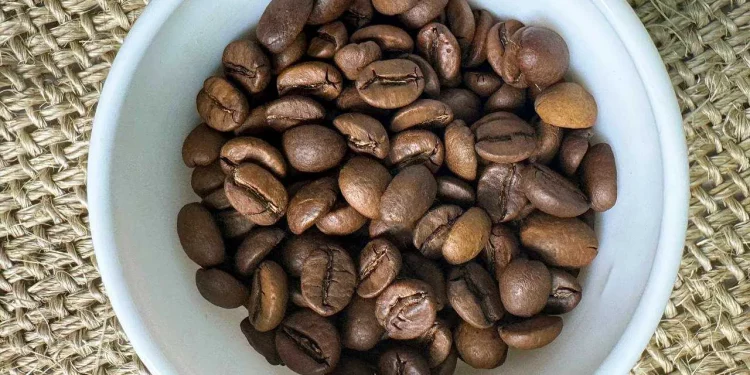 Чому варто звернути увагу на преміальні кавові бренди?