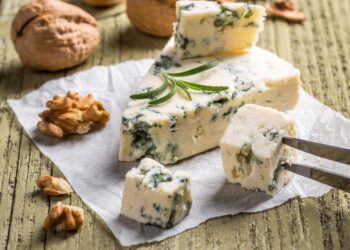 Виды сыра с плесенью и их уникальные особенности