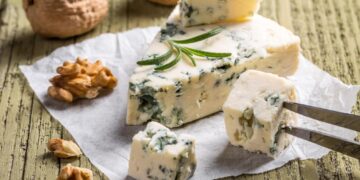 Виды сыра с плесенью и их уникальные особенности