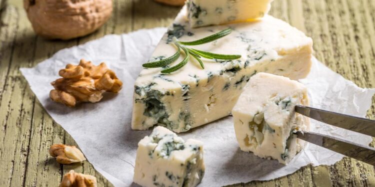 Виды сыра с плесенью и их уникальные особенности