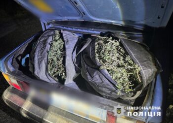 В Ізмаїльському району поліцейські зупинили авто з 12 кг канабісу у багажнику