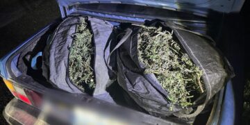В Ізмаїльському району поліцейські зупинили авто з 12 кг канабісу у багажнику