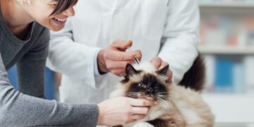 Як організувати оптові постачання ветпрепаратів: рекомендації для магазинів і клінік