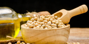 Астарта має намір побудувати новий завод із переробки сої із залученням $80 млн від IFC Економіка