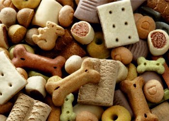 Як обрати та купити ласощі для собак на сайті store.vitomax.ua