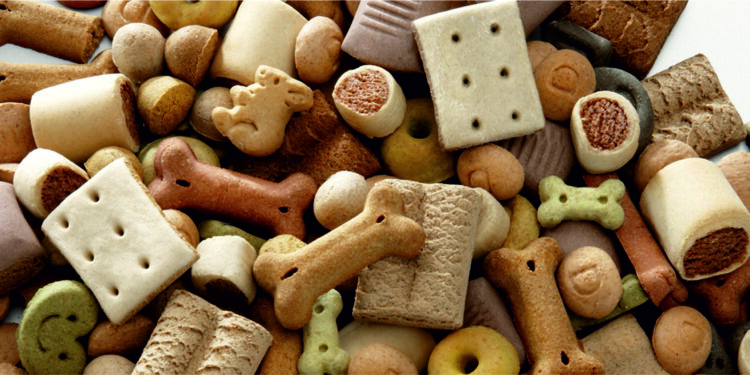 Як обрати та купити ласощі для собак на сайті store.vitomax.ua