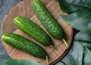 Как выбрать качественные семена огурцов?