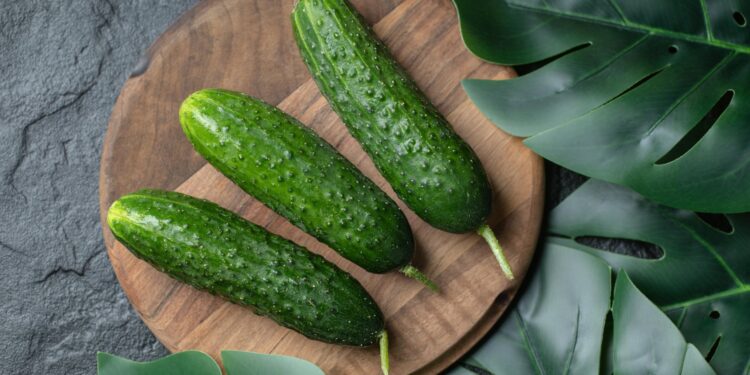 Как выбрать качественные семена огурцов?