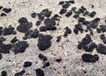 Плями мазуту з російських танкерів помітили на узбережжі Одещини