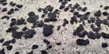 Плями мазуту з російських танкерів помітили на узбережжі Одещини