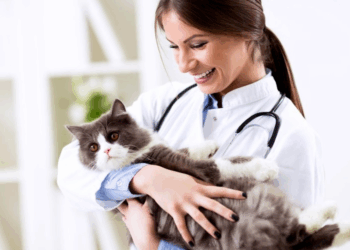 Ветеринар — профессия мечты или путь в выгорание