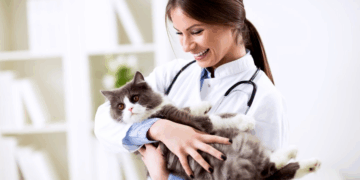 Ветеринар — профессия мечты или путь в выгорание