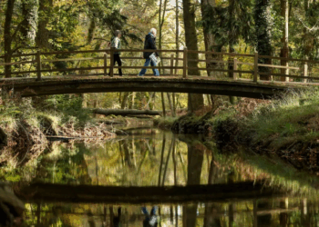 Какие вещи точно пригодятся во время выезда в лес или на речку