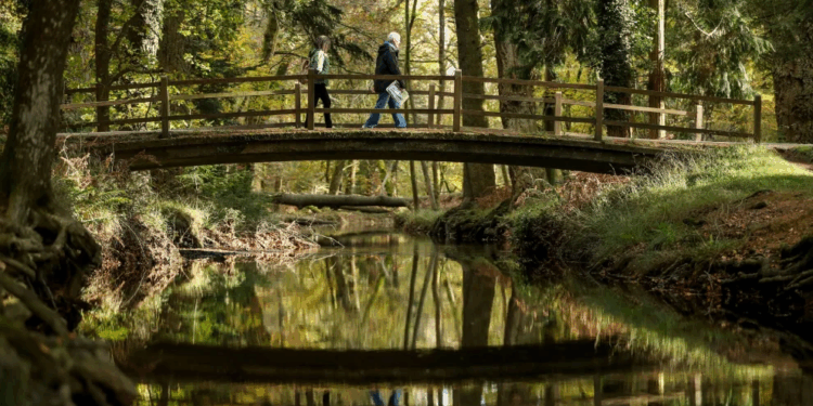 Какие вещи точно пригодятся во время выезда в лес или на речку