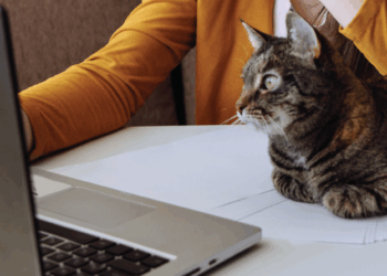 CRM для ветклініки