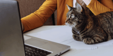 CRM для ветклініки