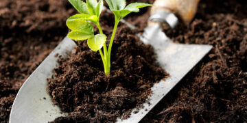 Современные тенденции в выборе удобрений для аграрного сектора