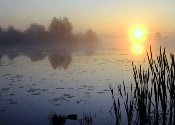 Почему так важно желать «Доброго утра!» нашим родным и близким людям