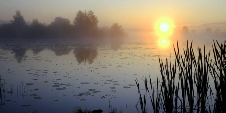 Почему так важно желать «Доброго утра!» нашим родным и близким людям