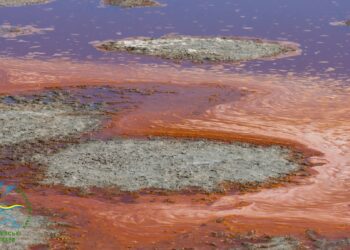На Білгород-Дністровщині дрібні лимани стали різнокольоровими