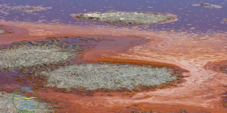 На Білгород-Дністровщині дрібні лимани стали різнокольоровими