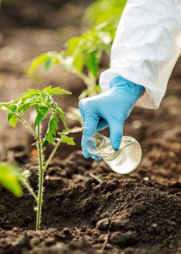 Защита урожая в Украине: как выбрать и применять современные решения