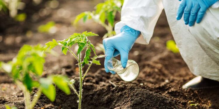 Защита урожая в Украине: как выбрать и применять современные решения