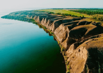 Птицы Одессы