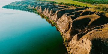 Птицы Одессы