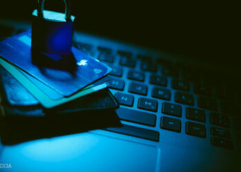 Поліцейські Латвії та України викрили кіберзлочинну мережу із сотні «грошових мулів»