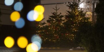 У ДСНС нагадали правила безпеки на зимові свята