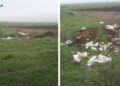 Сміття в полях і на околицях: різні погляди мешканців села Дельжилер та влади громади