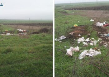 Сміття в полях і на околицях: різні погляди мешканців села Дельжилер та влади громади