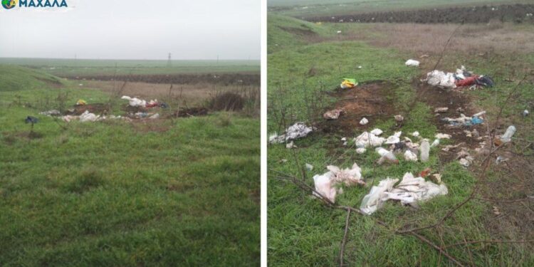 Сміття в полях і на околицях: різні погляди мешканців села Дельжилер та влади громади