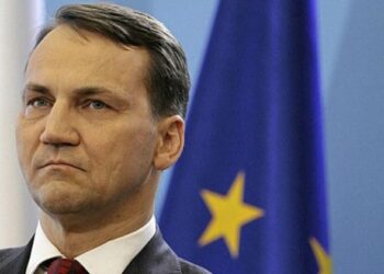 Посіємо зерно для нової війни: Сікорський сказав, якою має бути мирна угода щодо України