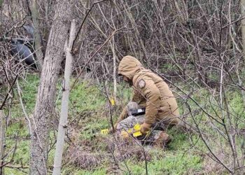У Молдові неподалік Одещини виявили безпілотник з бойовою частиною | Махала