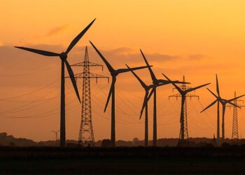 В Одеській області планують збудувати потужну вітрову електростанцію 