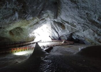 QR-код менший за пил, ШІ-перекладач для Папи Римського та бактерії, що ігнорують антибіотики